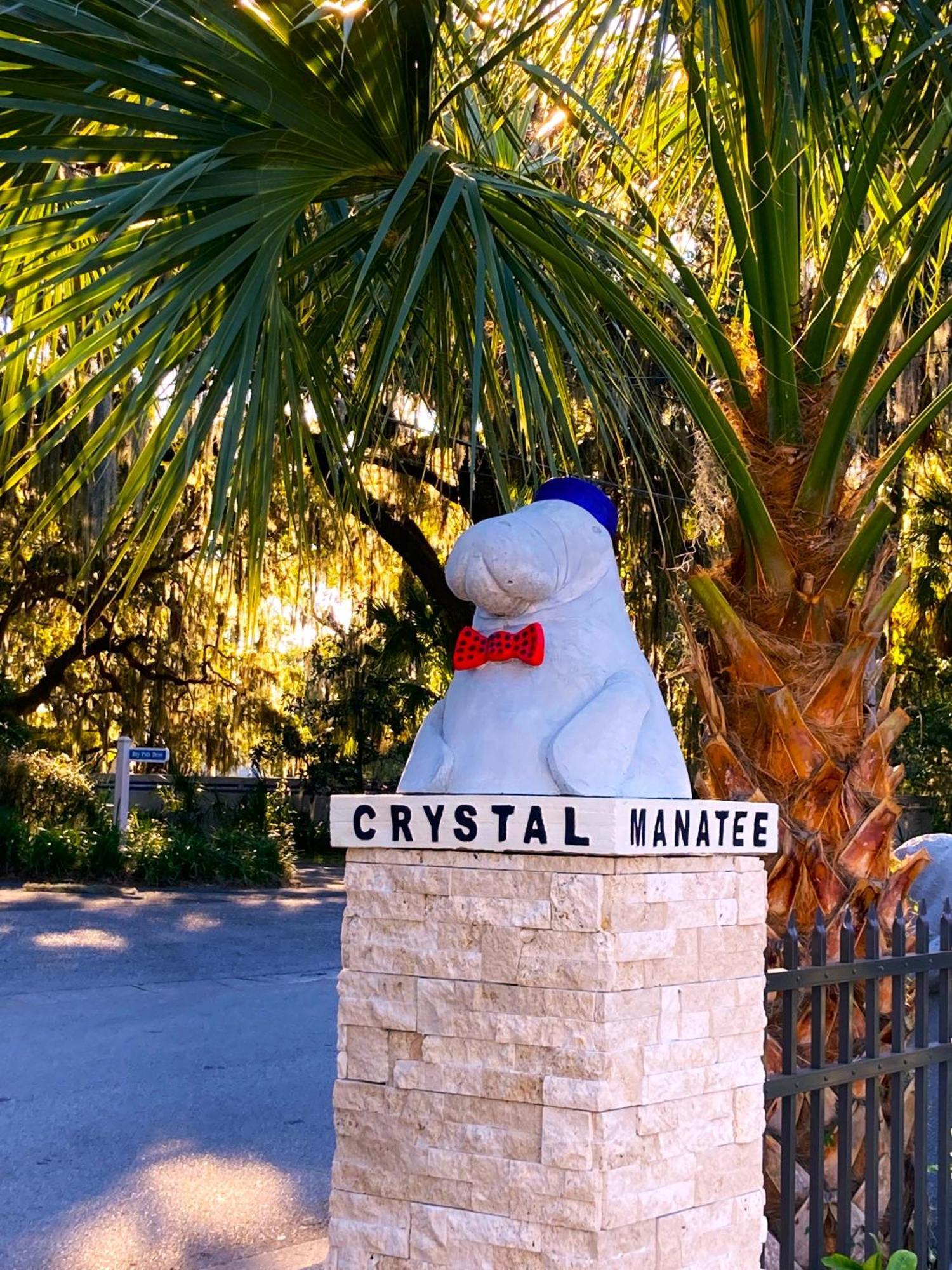 ホテル Retreat At Crystal Manatee クリスタルリバー エクステリア 写真